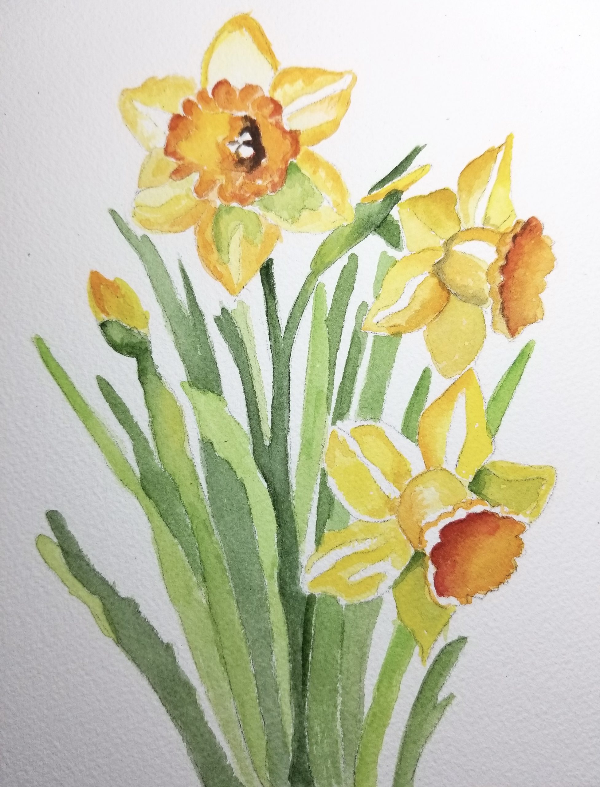 You are currently viewing BEGINNING WATERCOLOR with Jullane Rich